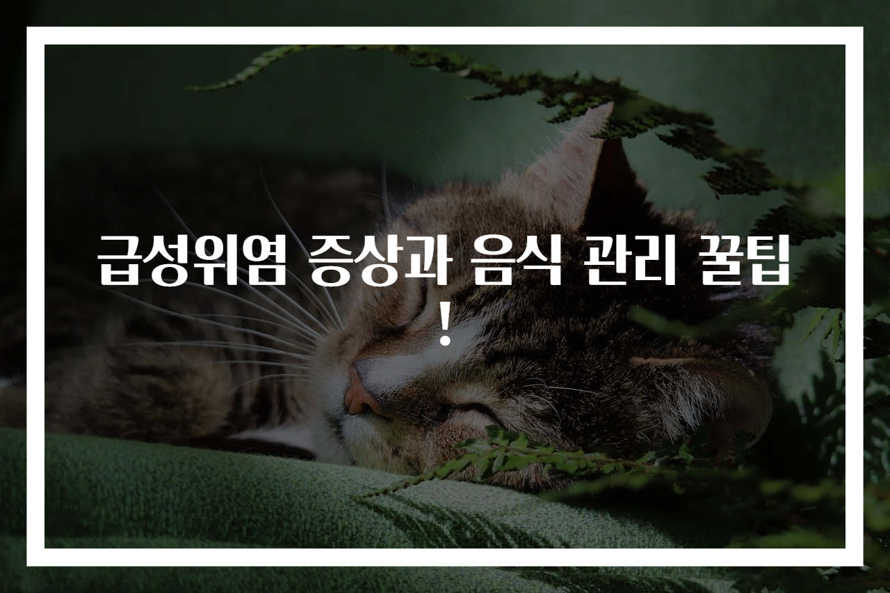 급성위염 증상과 음식 관리 꿀팁!