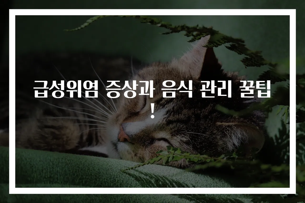 급성위염 증상과 음식 관리 꿀팁!