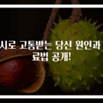 난시로 고통받는 당신 원인과 치료법 공개!