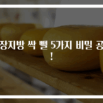 내장지방 싹 뺄 5가지 비밀 공개!