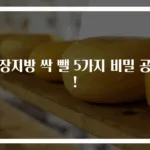 내장지방 싹 뺄 5가지 비밀 공개!
