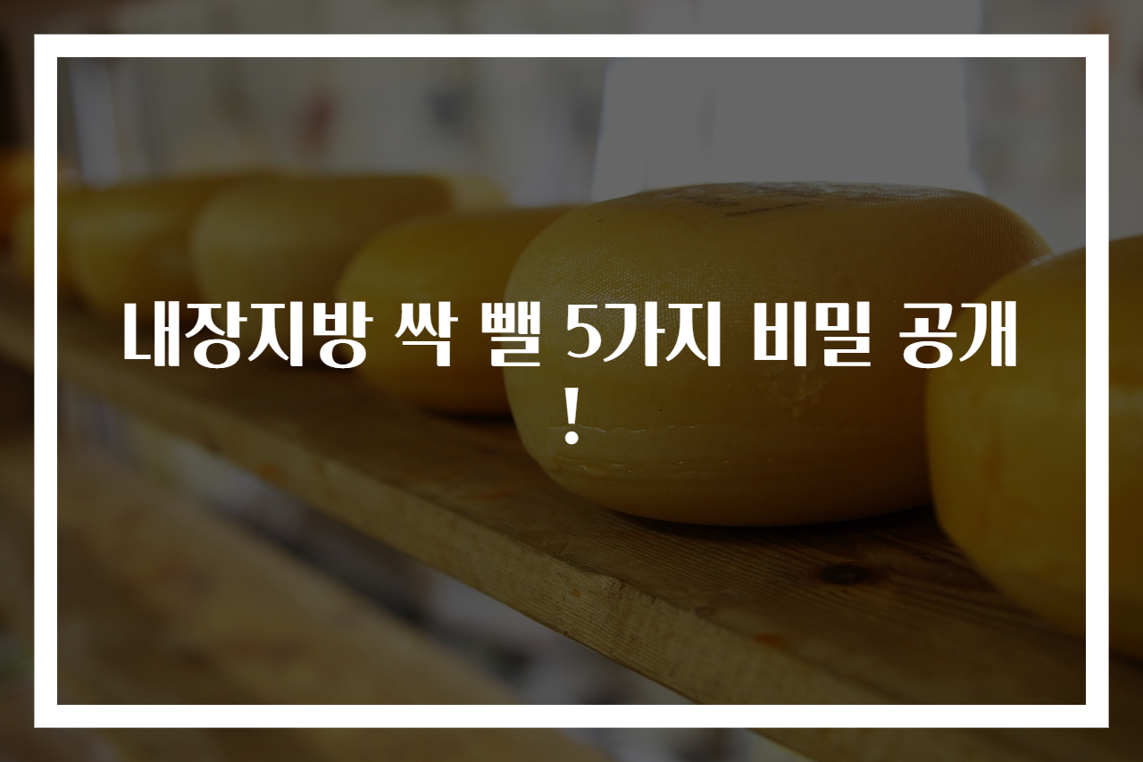 내장지방 싹 뺄 5가지 비밀 공개!