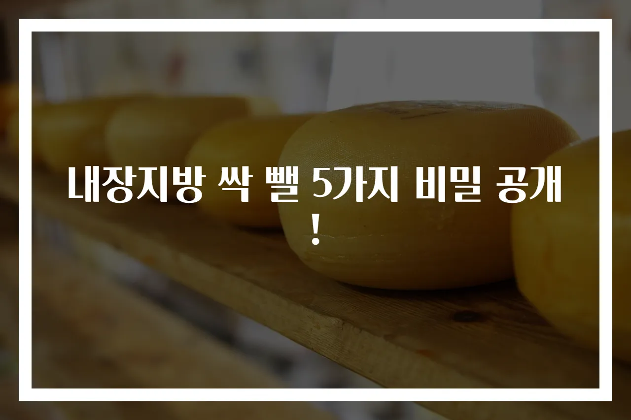 내장지방 싹 뺄 5가지 비밀 공개!