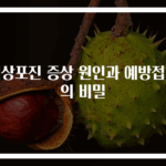 대상포진 증상 원인과 예방접종의 비밀