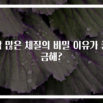땀 많은 체질의 비밀 이유가 궁금해?