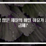땀 많은 체질의 비밀 이유가 궁금해?