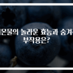 레몬물의 놀라운 효능과 숨겨진 부작용은?