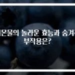 레몬물의 놀라운 효능과 숨겨진 부작용은?