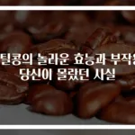 렌틸콩의 놀라운 효능과 부작용! 당신이 몰랐던 사실