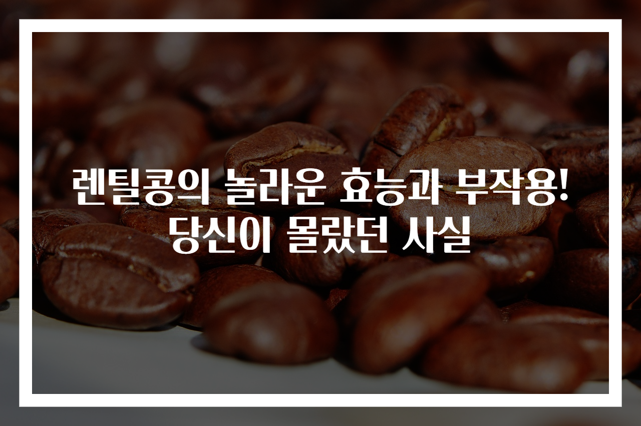 렌틸콩의 놀라운 효능과 부작용! 당신이 몰랐던 사실