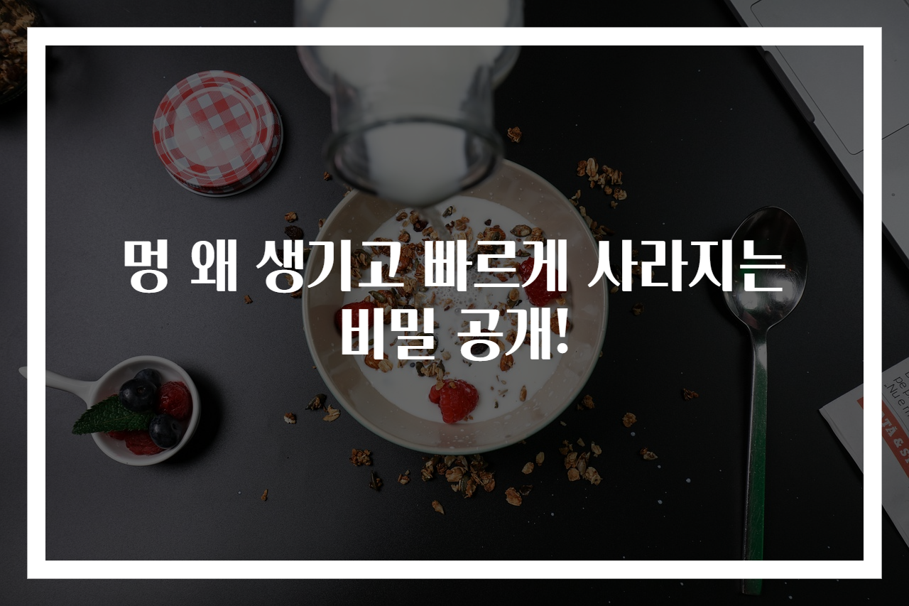 멍 왜 생기고 빠르게 사라지는 비밀 공개!