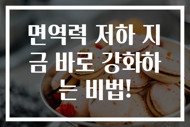 면역력 저하 지금 바로 강화하는 비법!
