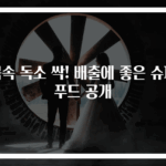 몸속 독소 싹! 배출에 좋은 슈퍼푸드 공개