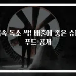 몸속 독소 싹! 배출에 좋은 슈퍼푸드 공개