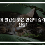 몸에 빨간점 붉은 반점의 충격적 진실!