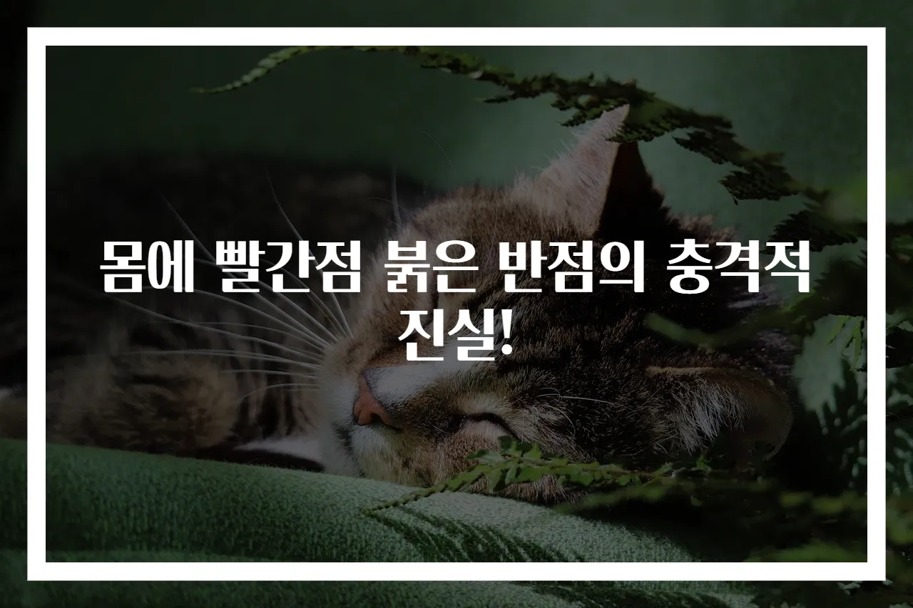 몸에 빨간점 붉은 반점의 충격적 진실!