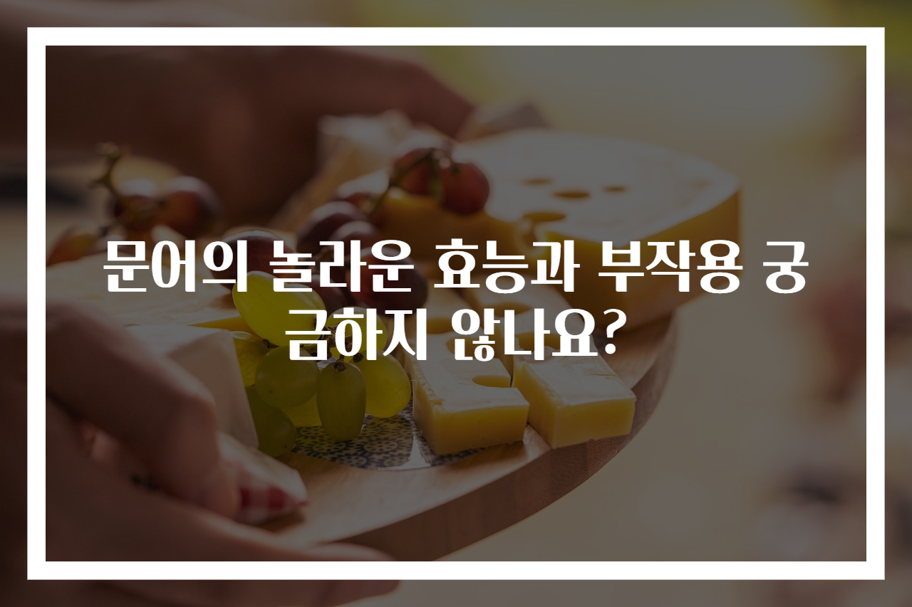 문어의 놀라운 효능과 부작용 궁금하지 않나요?