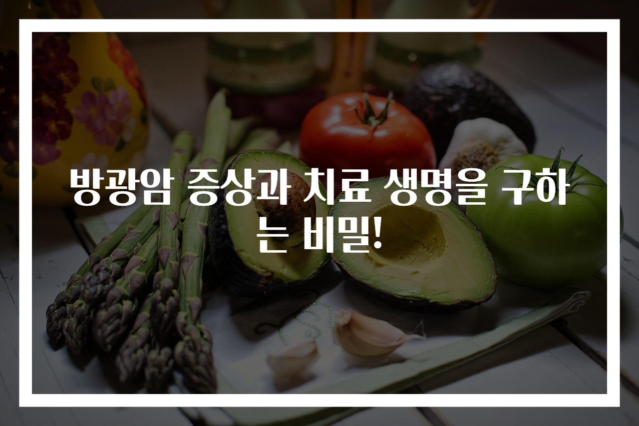 방광암 증상과 치료 생명을 구하는 비밀!