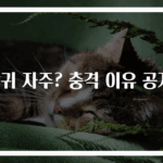 방귀 자주? 충격 이유 공개!