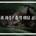 방귀 자주? 충격 이유 공개!