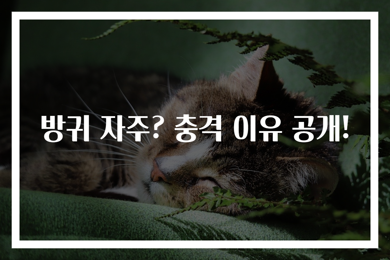 방귀 자주? 충격 이유 공개!