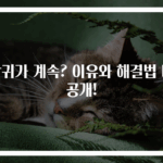방귀가 계속? 이유와 해결법 대공개!