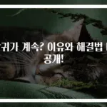 방귀가 계속? 이유와 해결법 대공개!
