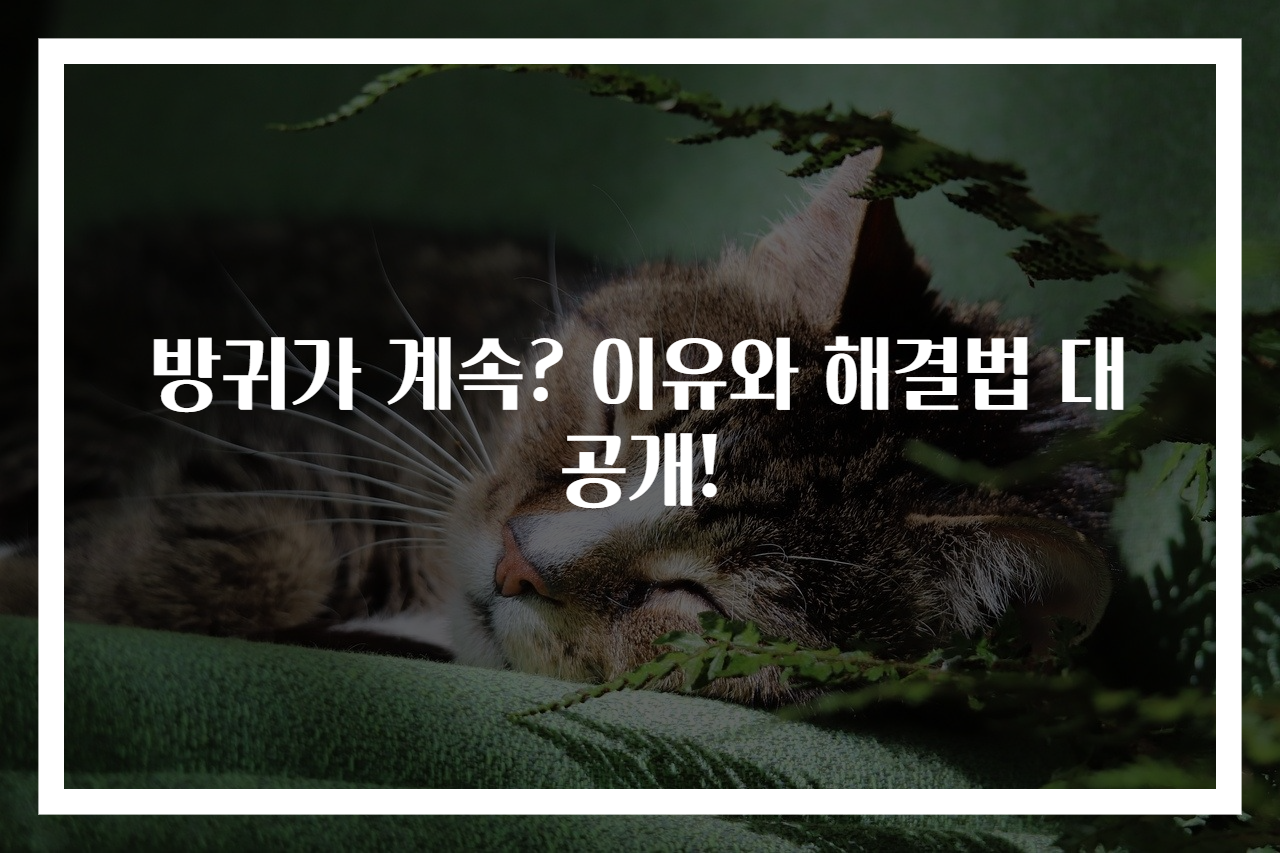 방귀가 계속? 이유와 해결법 대공개!