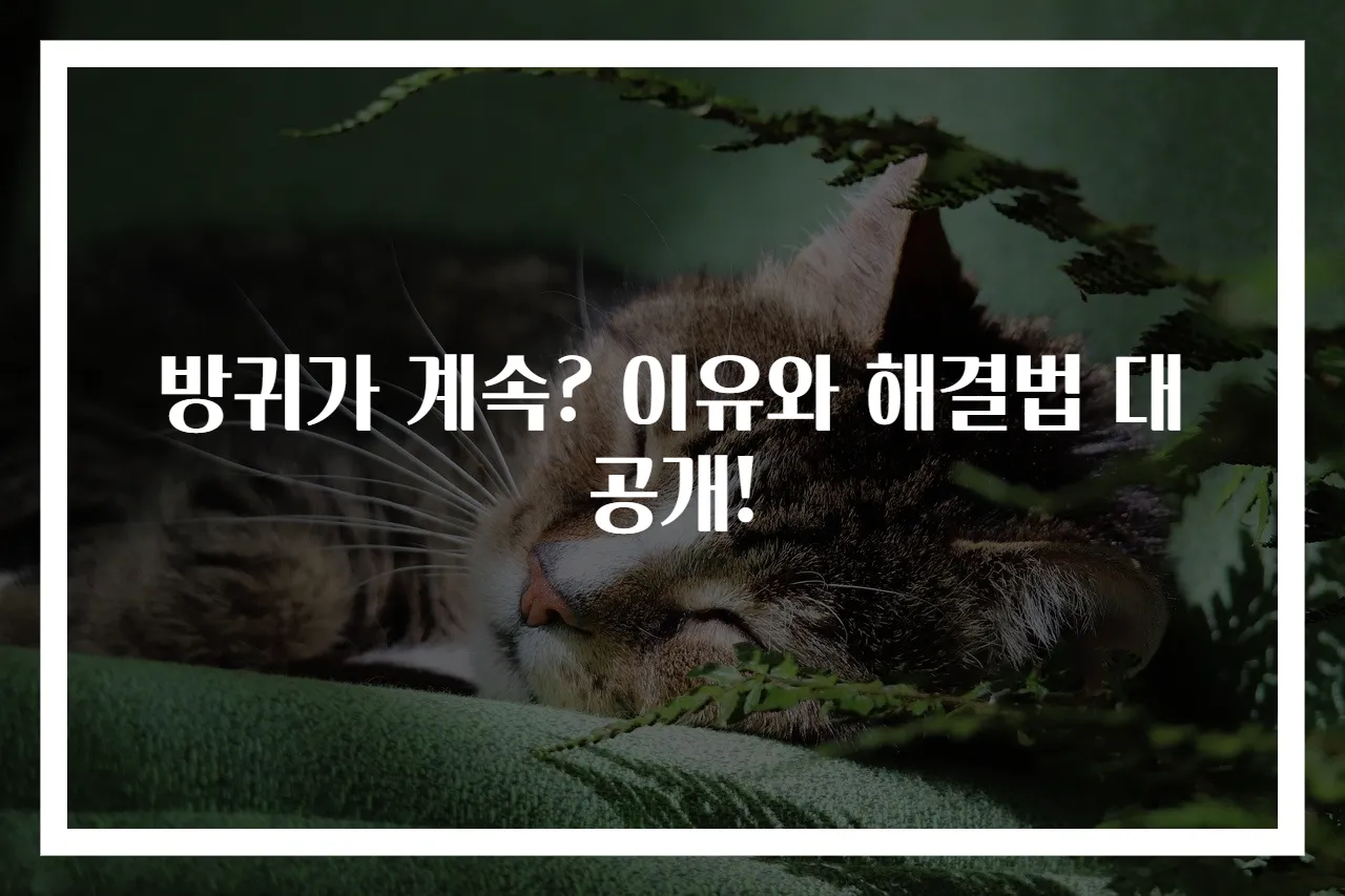 방귀가 계속? 이유와 해결법 대공개!
