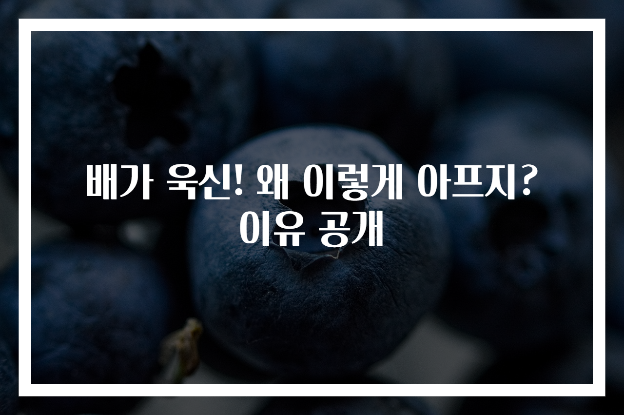 배가 욱신! 왜 이렇게 아프지? 이유 공개
