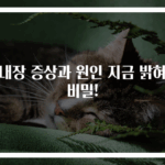 백내장 증상과 원인 지금 밝혀진 비밀!