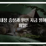 백내장 증상과 원인 지금 밝혀진 비밀!