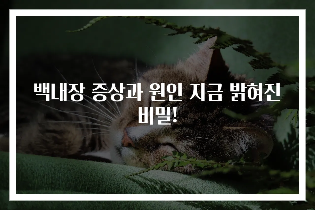 백내장 증상과 원인 지금 밝혀진 비밀!