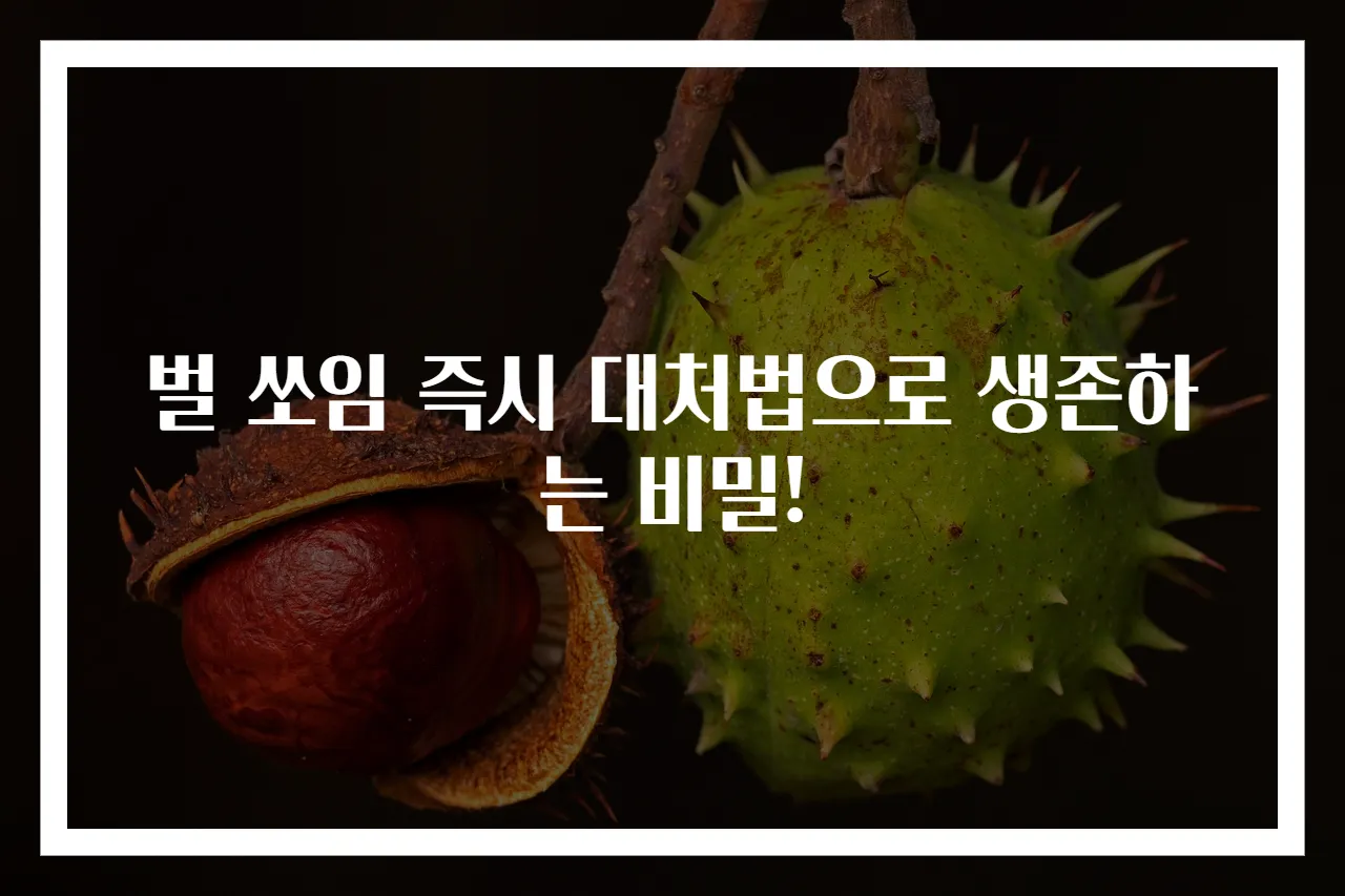 벌 쏘임 즉시 대처법으로 생존하는 비밀!
