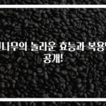 벌나무의 놀라운 효능과 복용법 공개!