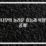 벌나무의 놀라운 효능과 복용법 공개!