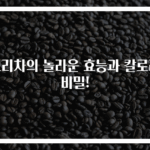 보리차의 놀라운 효능과 칼로리 비밀!
