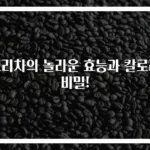보리차의 놀라운 효능과 칼로리 비밀!