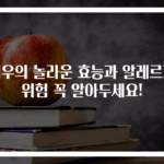 새우의 놀라운 효능과 알레르기 위험 꼭 알아두세요!