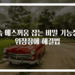 속 메스꺼움 잡는 비밀 기능성 위장장애 해결법