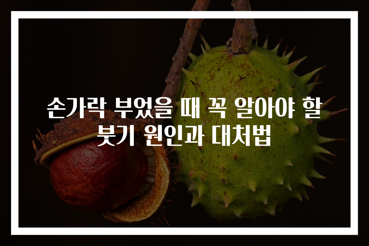 손가락 부었을 때 꼭 알아야 할 붓기 원인과 대처법