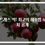 스트레스 싹! 최고의 해소법 6가지 공개
