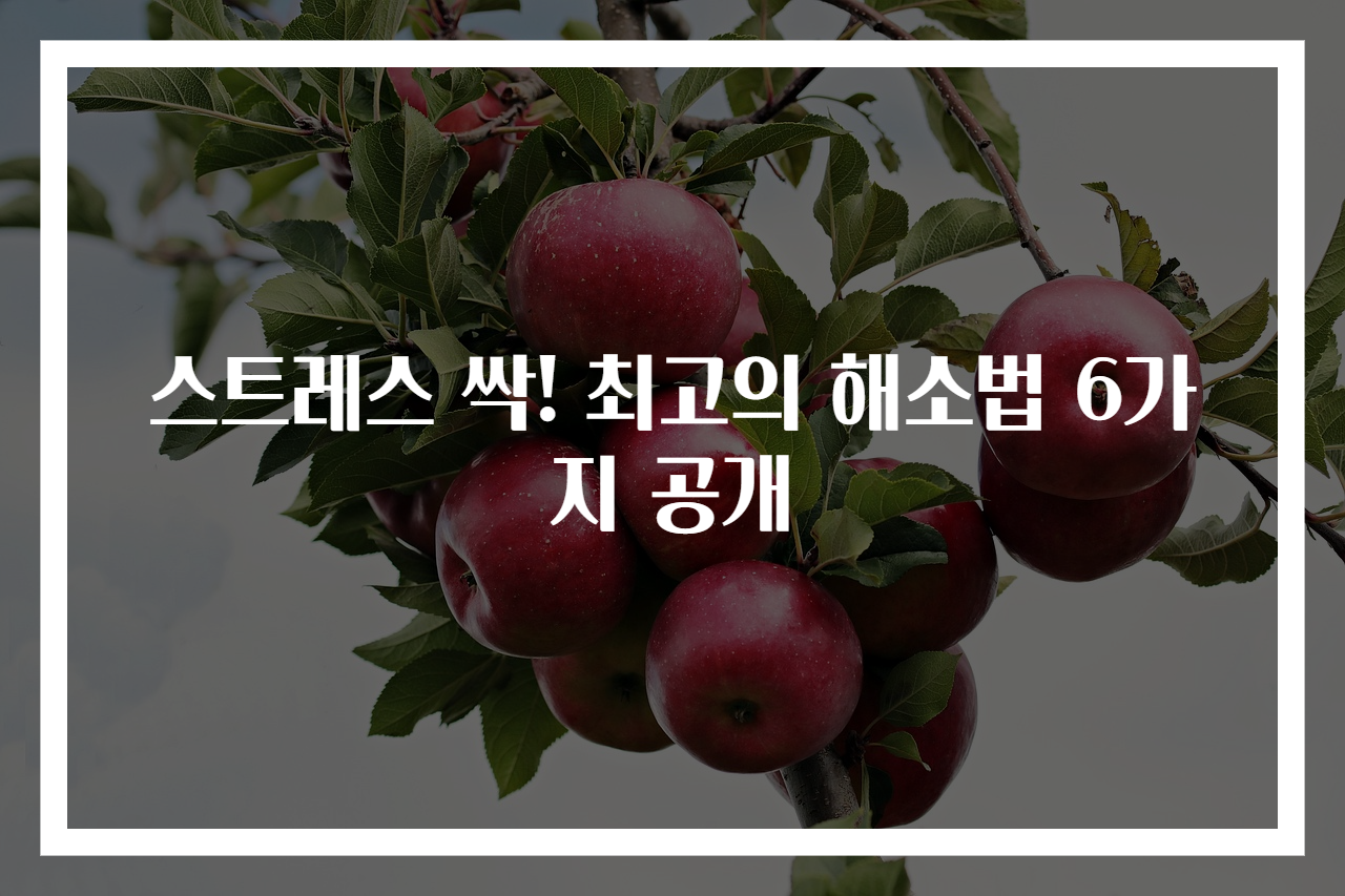 스트레스 싹! 최고의 해소법 6가지 공개