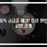 식중독 궁금증 해결! 증상 원인치료법 공개
