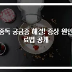 식중독 궁금증 해결! 증상 원인치료법 공개