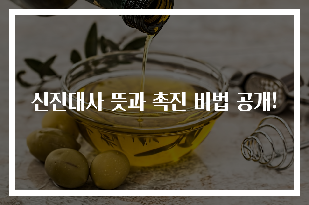 신진대사 뜻과 촉진 비법 공개!
