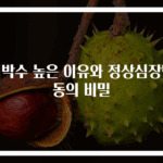 심박수 높은 이유와 정상심장박동의 비밀