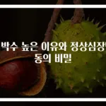 심박수 높은 이유와 정상심장박동의 비밀