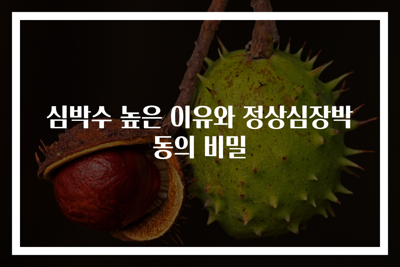 심박수 높은 이유와 정상심장박동의 비밀