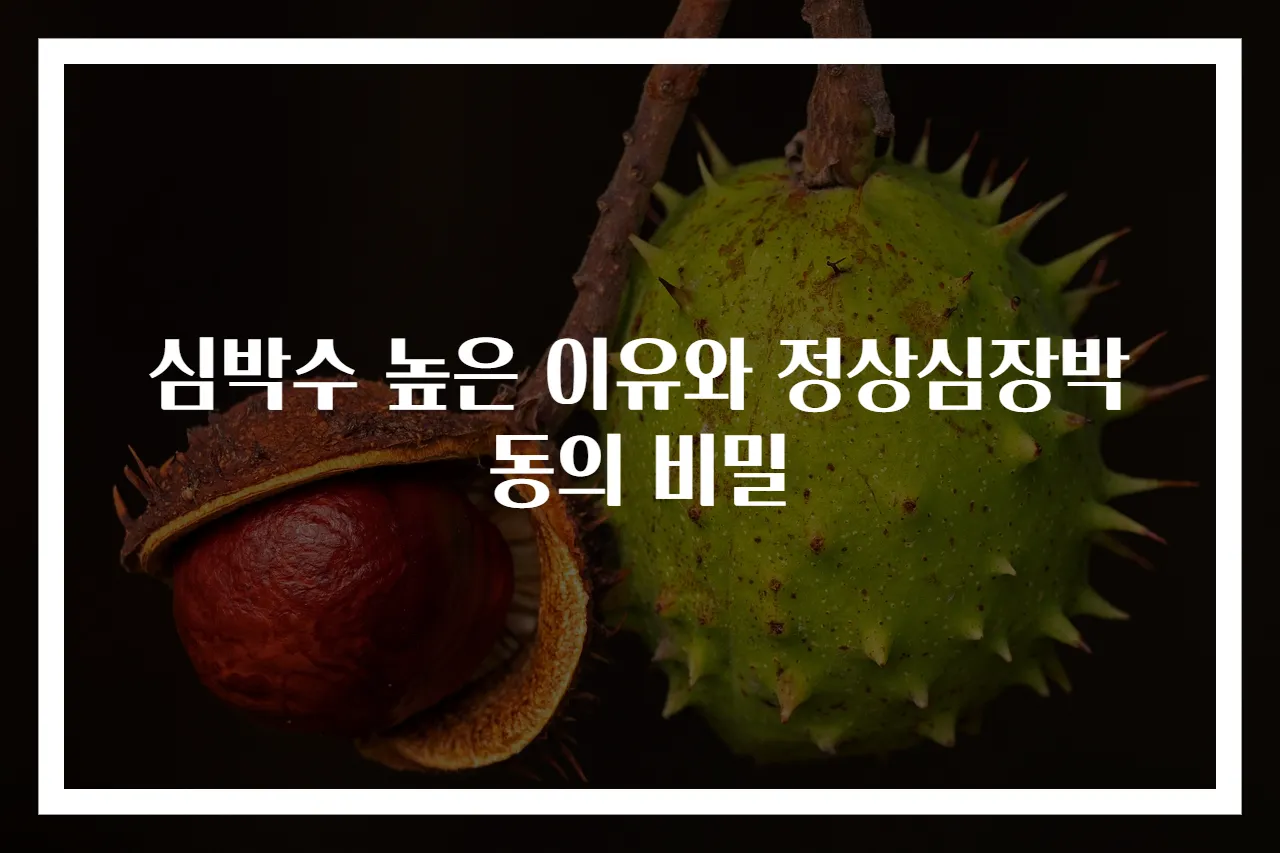 심박수 높은 이유와 정상심장박동의 비밀